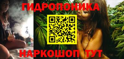 Альфа ПВП Можга
