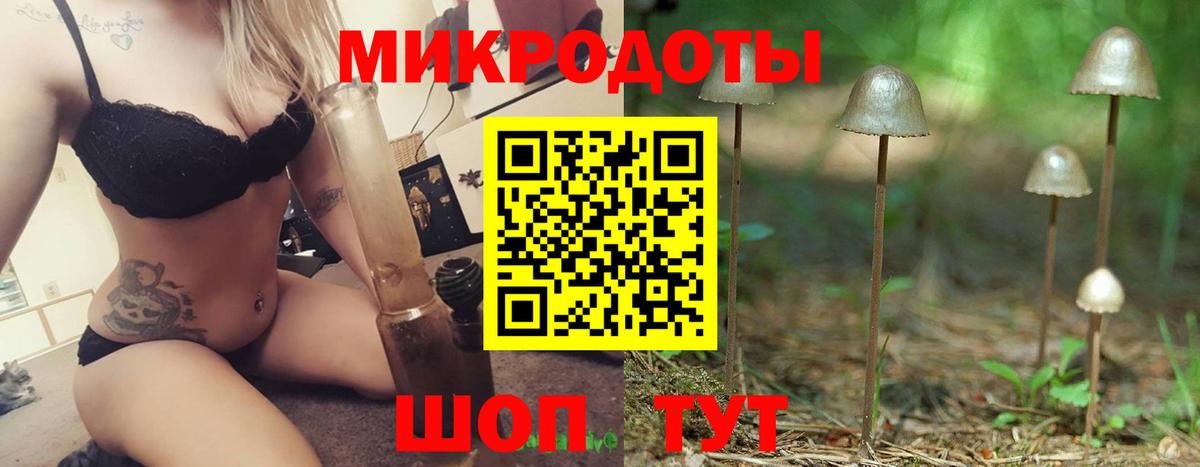 Псилоцибиновые грибы мицелий Семилуки